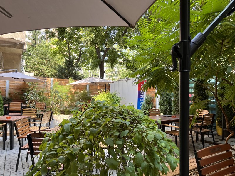 Bucatareasa, femeie ajutor de bucatar,